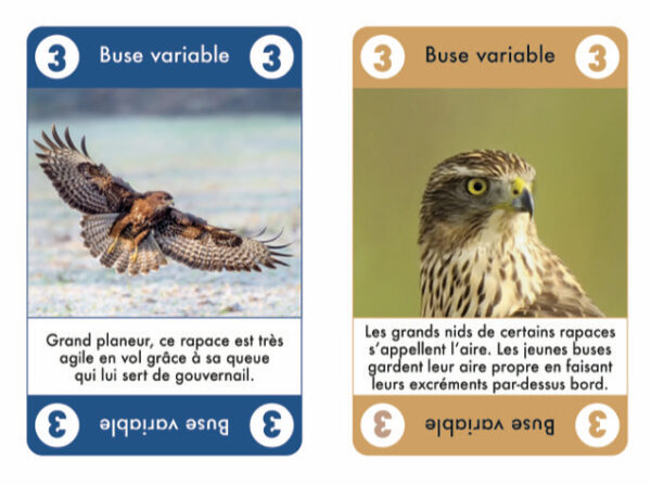 ET TOC !<br>Rapaces<br>Jeu de cartes – Image 4