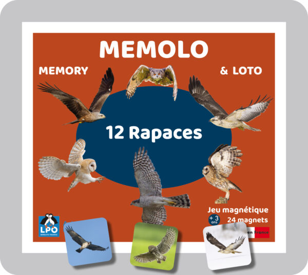 MEMOLO<br>Rapaces<br>24 magnets – Image 2