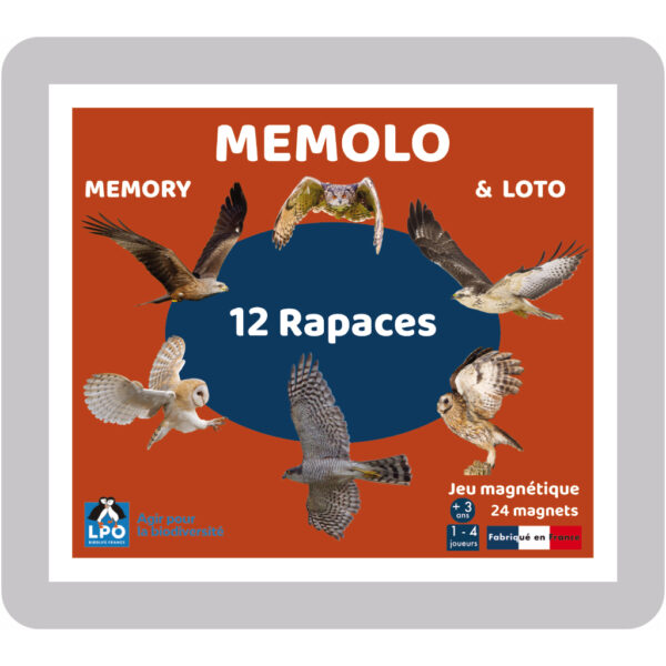 MEMOLO<br>Rapaces<br>24 magnets