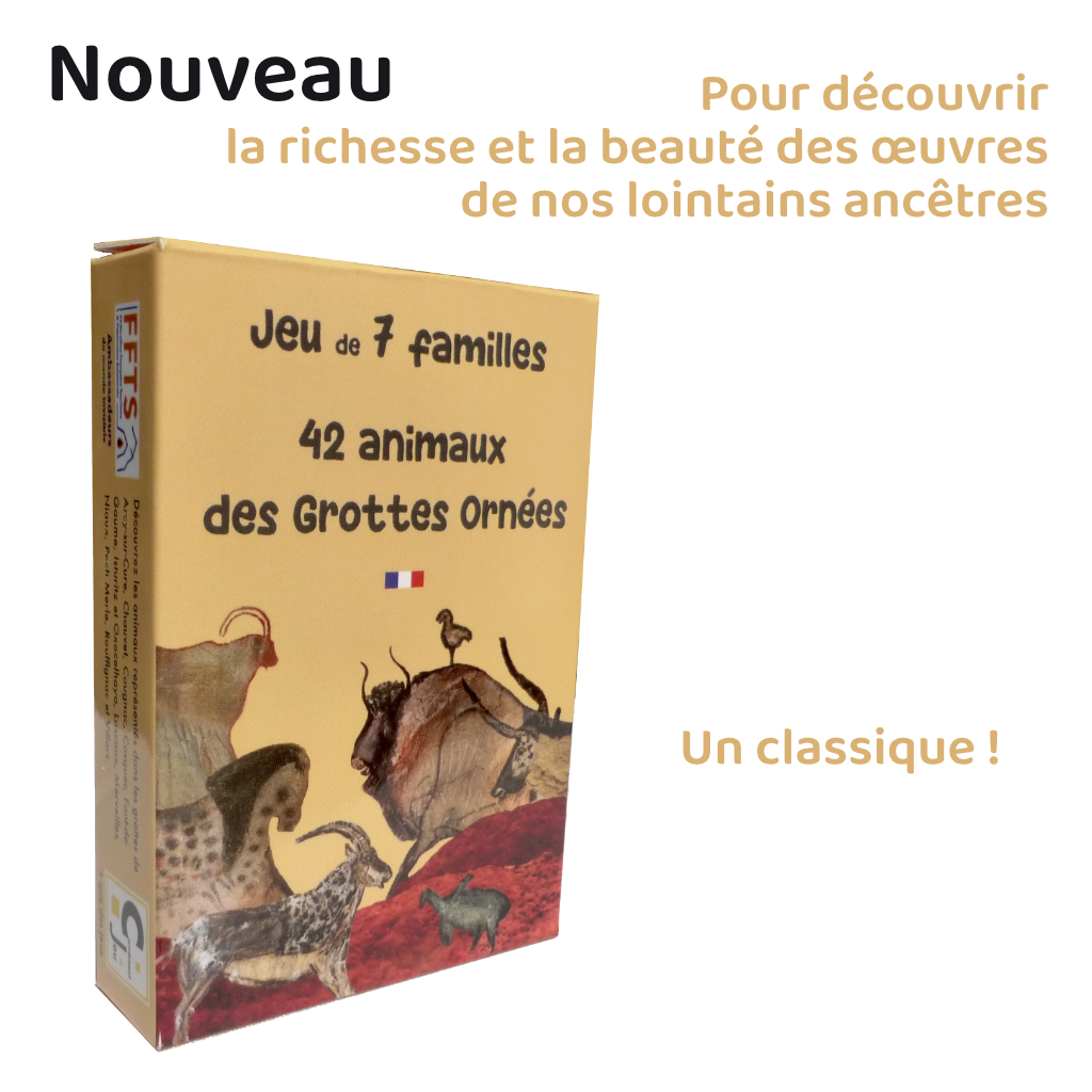 Nouveauté n°1
