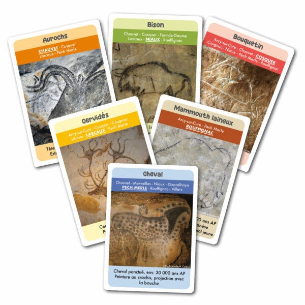 7 Familles des animaux des Grottes Ornées de France – Image 2
