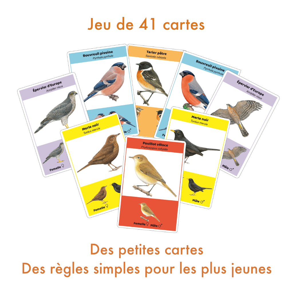 Nouveauté n°2