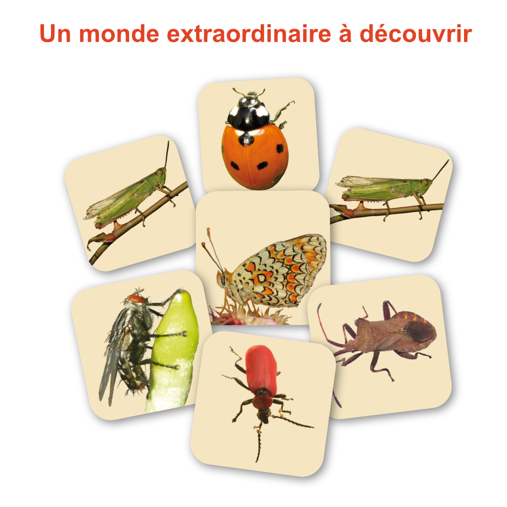 Nouveauté n°4