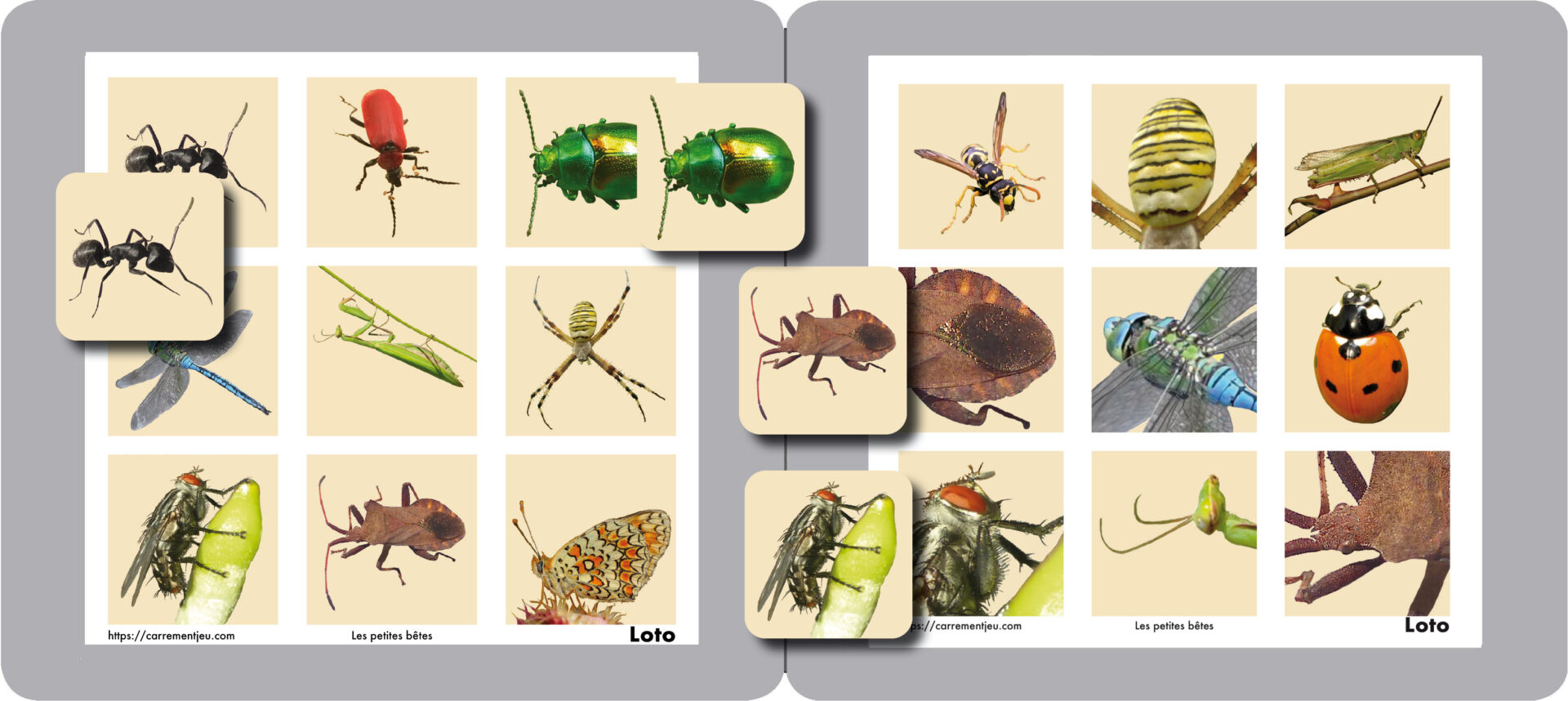 MEMOLO<br>Petites bêtes<br>24 magnets – Image 5