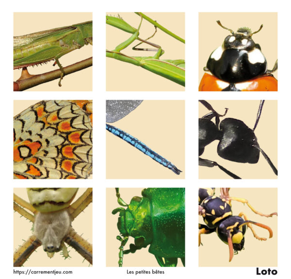 MEMOLO<br>Petites bêtes<br>24 magnets – Image 4