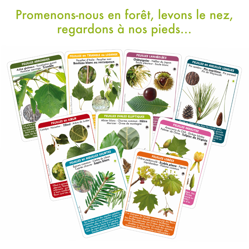 Nouveauté n°2